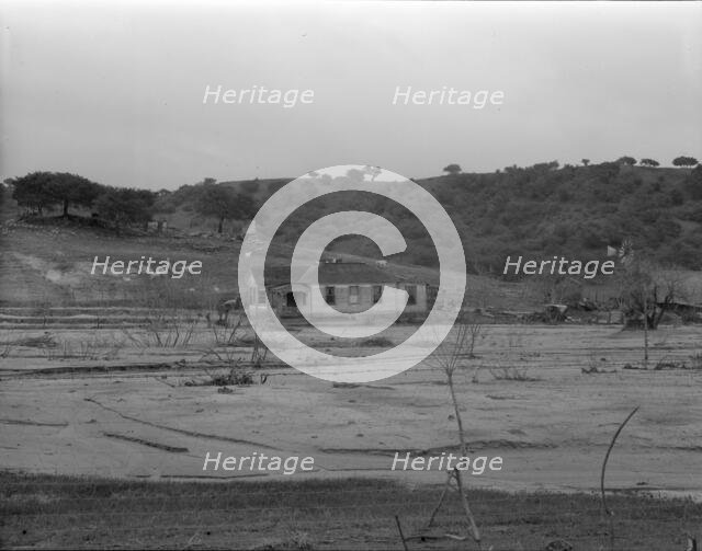Soil erosion at Arroyo Grande, California, 1936. Creator: Dorothea Lange.
