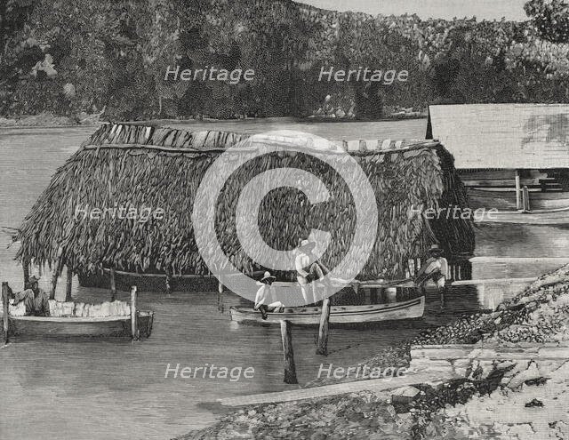 Fishermen from Cayo Smith, Santiago de Cuba, Cuba, 1898. Creator: Unknown.