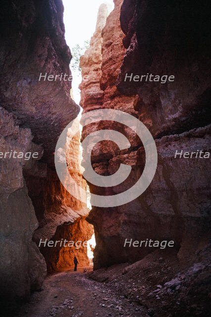 Passage. Creator: Robert Manno.