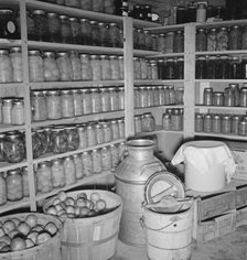 Interior of Mrs. Botner's storage cellar, Nyssa Heights, Malheur County, Oregon, 1939. Creator: Dorothea Lange.