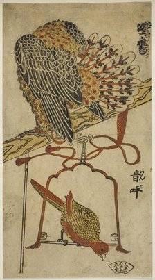 Sparrowhawk and Macaw (Konori taka, inko), c. 1718. Creator: Torii Kiyomasu I.