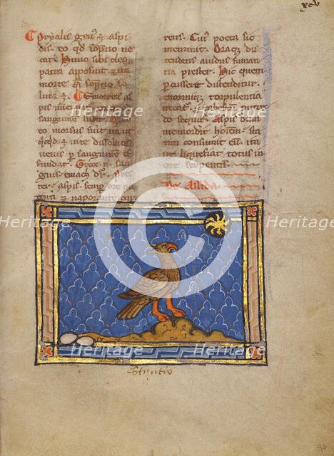 An Ostrich; Bestiary, about 1270. Creator: Unknown.