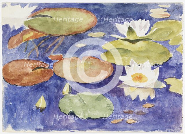 Water lilies in the water. Creator: Maria Wiik.