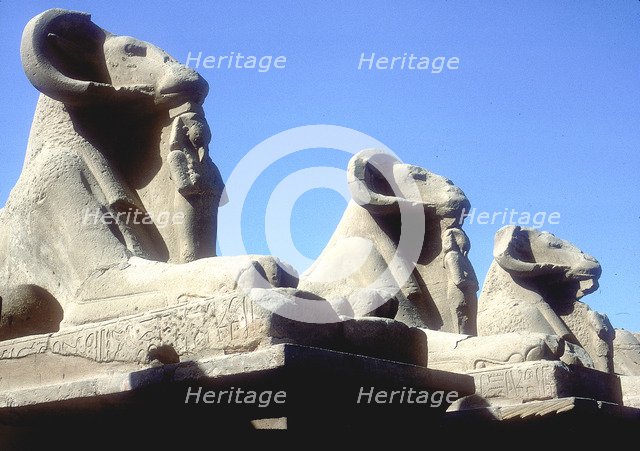 Ram-headed sphinxes, Temple of Amun, Karnak, Egypt. Artist: Unknown