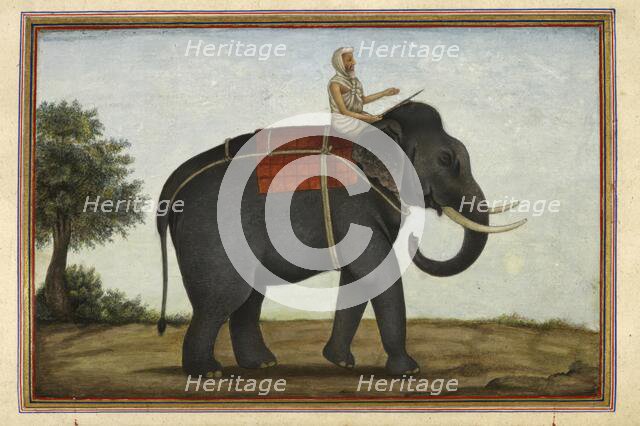 An elephant keeper riding his elephant, 1825. Creator: Anon.