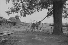 A sharecropper's yard, Hale County, Alabama, 1936. Creator: Walker Evans.