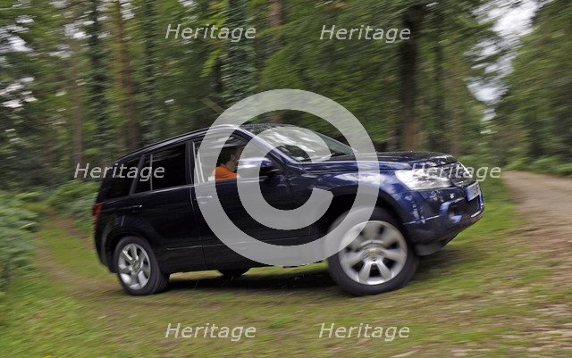 2009 Suzuki Grand Vitara Artist: Unknown.