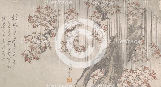 Cherry Blossoms in the Rain, 19th century., 19th century. Creator: Shinsai.
