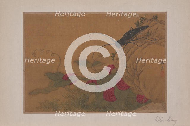 Grasshopper on Rock, 15th century. Creator: Wen Liang.