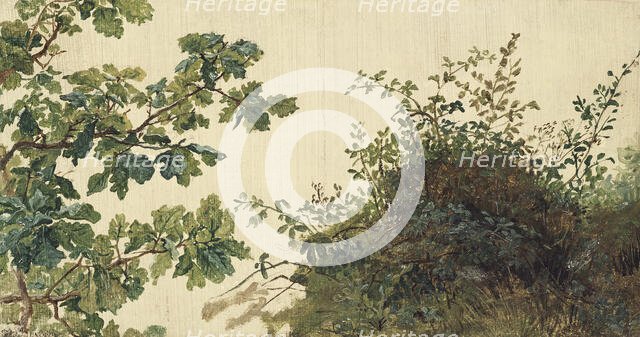 Study of Vegetation, mid-19th century. Creator: Kilian Christoffer Zoll.
