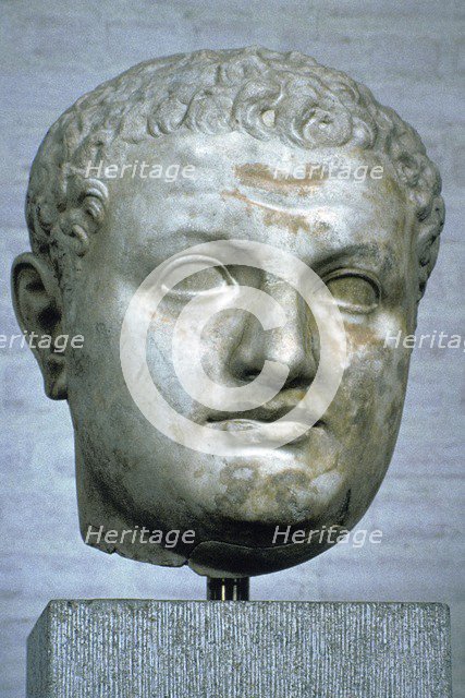 Head of the Roman emperor Titus, 1st century. Artist: Unknown