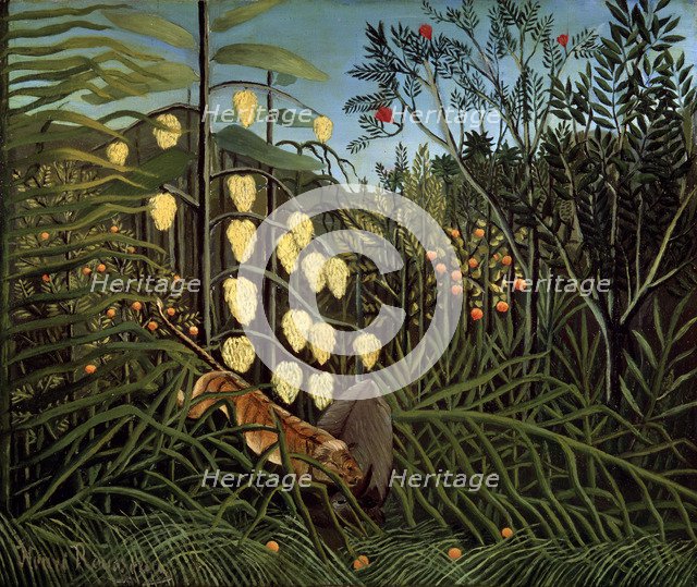 'In a tropical Forest. Struggle between Tiger and Bull', 1908-1909.  Artist: Henri Rousseau