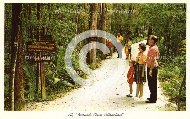 'Nature's Own Attraction', Homosassa Springs, Florida, USA, 1963. Artist: Unknown