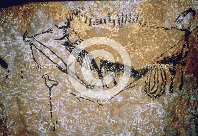 Paleolithic cave-painting of a Bison and Man from Lascaux. Artist: Unknown