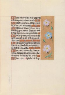 Hours of Queen Isabella the Catholic, Queen of Spain: Fol. 67r, c. 1500. Creator: Master of the First Prayerbook of Maximillian (Flemish, c. 1444-1519); Associates, and.