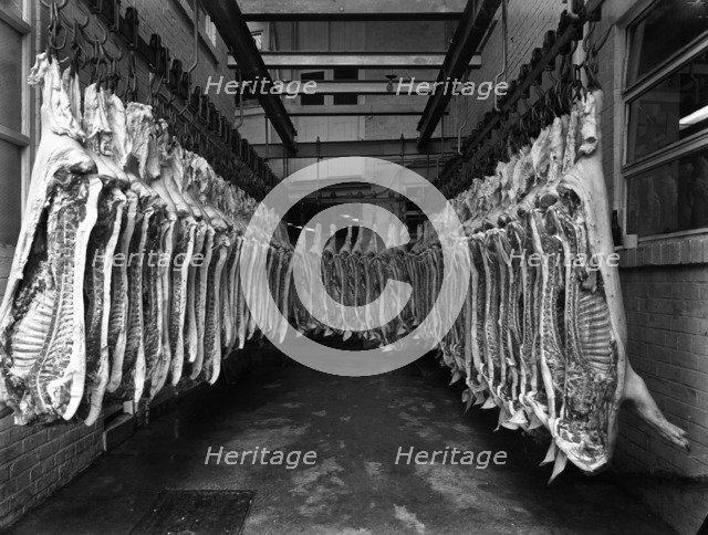 Interior of a butchery factory, Rawmarsh, South Yorkshire, 1955. Artist: Michael Walters
