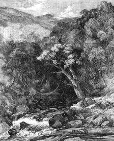 "Ravine in Glen Tilt" - painted by W. Bennett - from the Exhibition of the New Society of Painters i Creator: Edmund Evans.