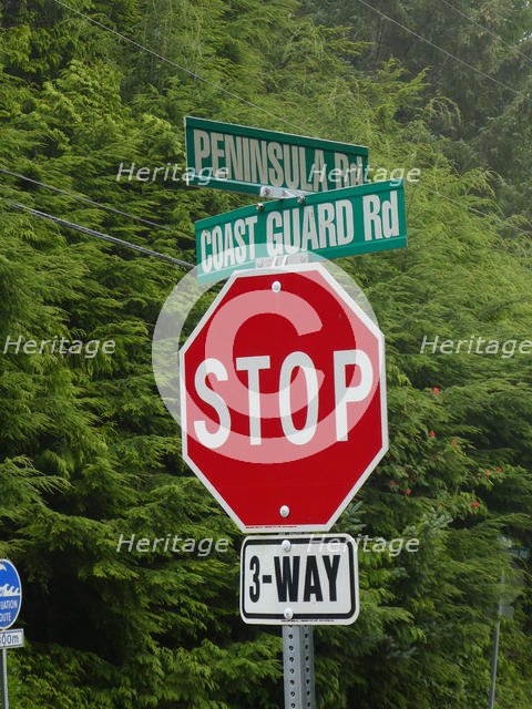 Stop road sign, British Columbia, Canada 2018. Creator: Unknown.