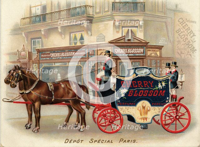 Cherry Blossom, 19th century. Artist: Unknown