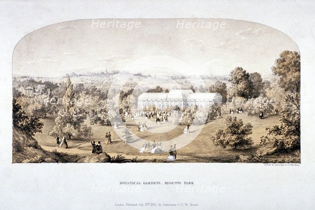 View of the Botanical Gardens in Regents Park, Marylebone, London, 1851. Artist: Anon