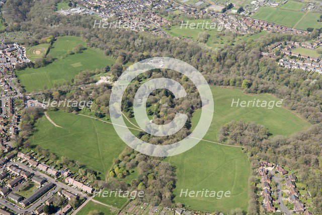 Landscape park at Oldbury Court Estate, Bristol, 2018. Creator: Historic England Staff Photographer.