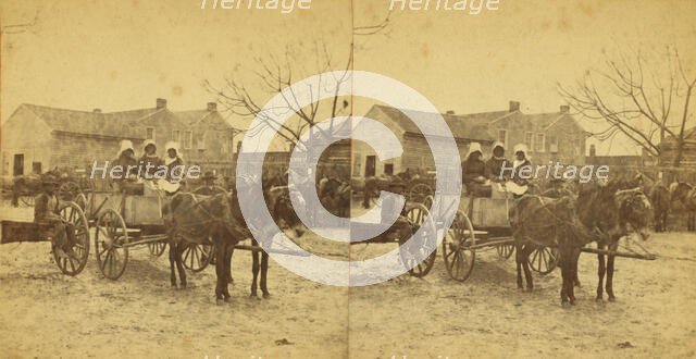 Three graces, [Three women in a mule cart], (1868-1900?). Creator: Unknown.