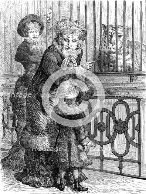 Odd sketches at the Zoological Society's Gardens: the cat family, 1880. Creator: Unknown.