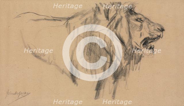 Lion. Creator: John Macallan Swan (British, 1847-1910).