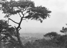 Travel views of Japan and Korea, 1908. Creator: Arnold Genthe.