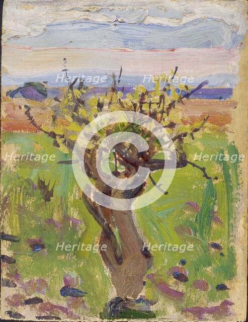 Dwarf Tree in the Desert, 1909-1910. Creator: Akseli Gallen-Kallela.
