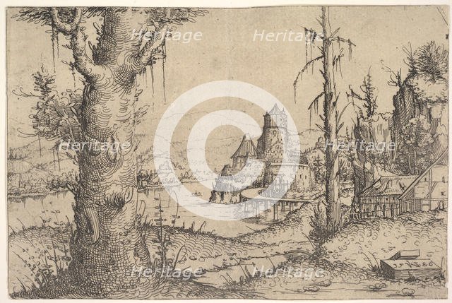 River Landscape with Large Tree at Left, 1546. Creator: Augustin Hirschvogel.