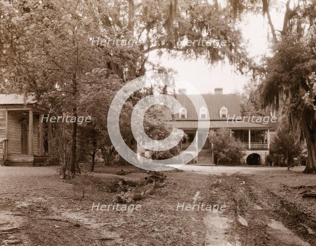 "The Eutaw," William Henry Sinkler house, Eutawville vicinity, Berkeley County, South Carolina, 1938 Creator: Frances Benjamin Johnston.