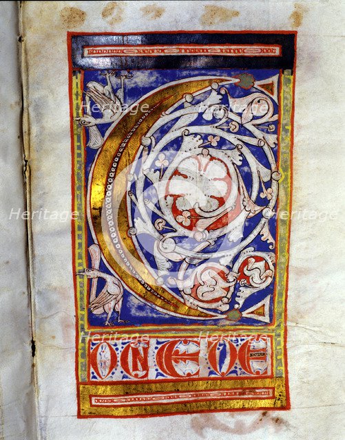 Drop cap 'C' illuminated with two birds and lush floral decoration, manuscript on parchment made?…