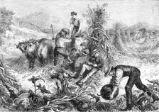 American Harvest Home, 1881.  Creator: Unknown.