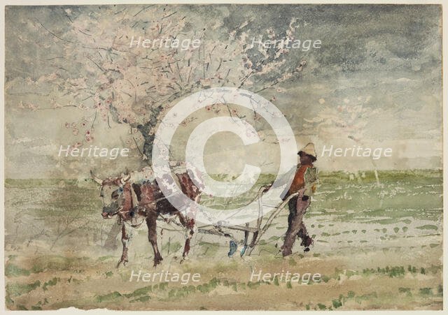 Blossom Time in Virginia, 19th century. Creator: Winslow Homer.