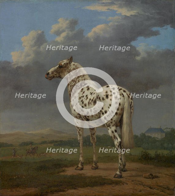 Piebald Horse, ca 1654. Artist: Potter, Paulus (1625-1654)