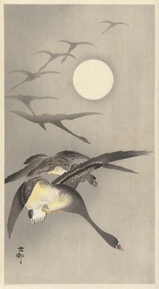 Geese at full moon. Creator: Ohara, Koson (1877-1945).