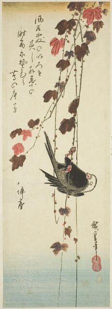 White-headed bird and ivy, mid-1830s. Creator: Ando Hiroshige.