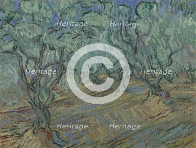 Olive grove, 1889. Creator: Gogh, Vincent, van (1853-1890).