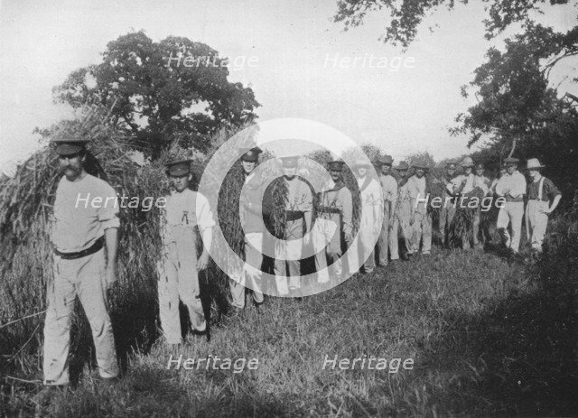'The shortage of farm labour: Soldiers assisting with the harvest', 1915. Artist: Unknown.