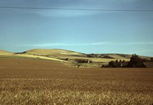 Wheat farm, Walla Walla, Washington, 1941. Creator: Russell Lee.