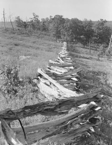 Split-log fence, north central Arkansas, along U.S. 62, 1938. Creator: Dorothea Lange.