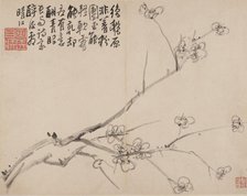 Album of Blossoming Plum, 1742. Creator: Li Fangying.