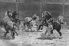 ''The Shire Horse Show at the Agricultural Hall--The effect of applause', 1890. Creator: Unknown.