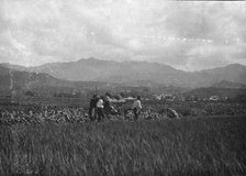 Travel views of Japan and Korea, 1908. Creator: Arnold Genthe.