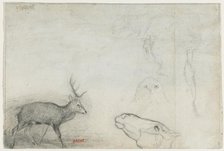 Studies of Animals (verso). Creator: Antoine-Louis Barye (French, 1796-1875).