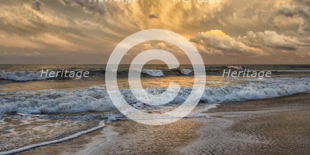 Gilded. Creator: Eve Turek.