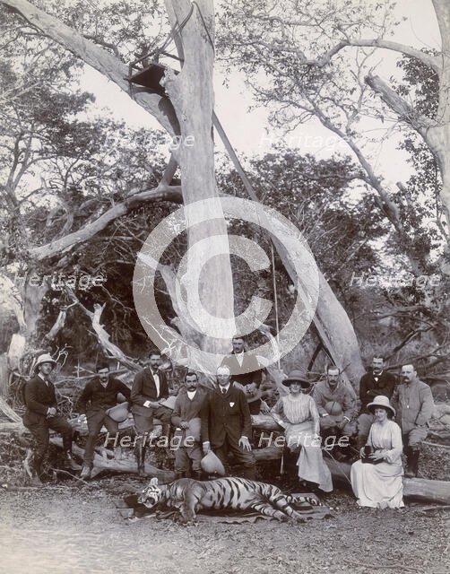 Lord and Lady Curzon and party posing with dead tiger, Nekonda, India, 1902. Creator: Unknown.