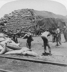 'Tons upon tons of oats for Tommy's faithful friend', De Aar, South Africa, Boer War, 1900.Artist: Underwood & Underwood