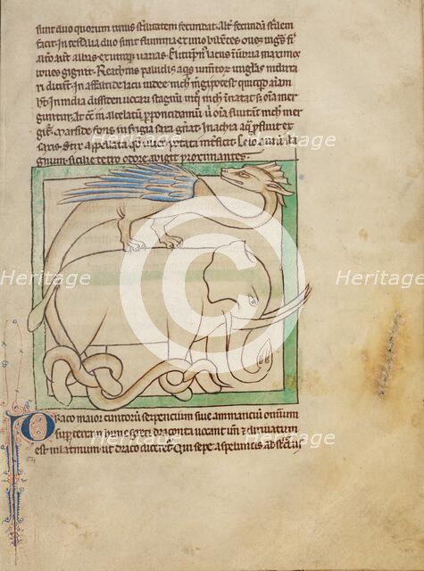 A Dragon; Northumberland Bestiary, about 1250-1260. Creator: Unknown.